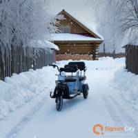 Электротрицикл Leopard Max Trike T3 1200W