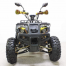 Квадроцикл GreenCamel Сахара AWD 4x4 (60V52Ah 2x2kW R10 alum)