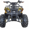 Квадроцикл GreenCamel Атакама T120 (48V20Ah 800W R8 Цепь)
