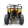 Квадроцикл GreenCamel Гоби K40 (36V 800W R6 Цепь) быстросъем
