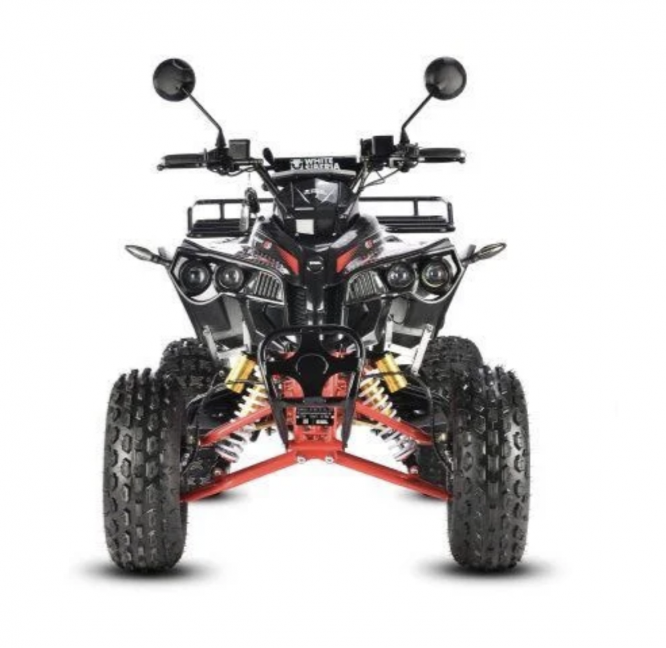Электроквадроцикл WHITE SIBERIA SNEG PRO 3000W