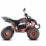 Электроквадроцикл WHITE SIBERIA SNEG PRO 3000W