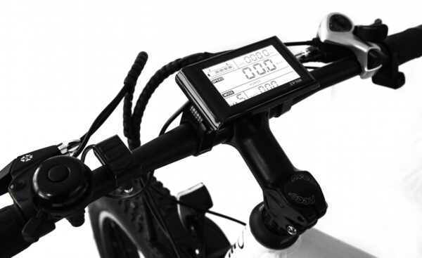 Электровелосипед Elbike MATRIX BIG ELITE (C51)