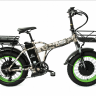 Электровелосипед Elbike TAIGA 3 Twix 2000 cam (C34)