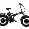 Электровелосипед Elbike TAIGA 3 Twix (C55)