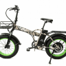 Электровелосипед Elbike TAIGA 2 ELITE cam (C54)