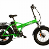 Электровелосипед Elbike TAIGA 2 ELITE (C54)