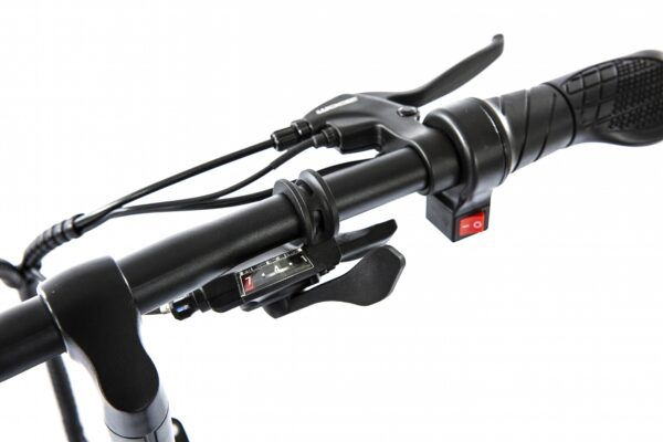 Электровелосипед Elbike TAIGA 2 ELITE (C54)