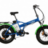 Электровелосипед Elbike TAIGA 2 St (C52)