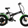 Электровелосипед Elbike TAIGA 2 St (C52)