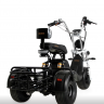 Электротрицикл IKINGI Cargo-Trike 1000W
