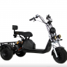 Электротрицикл IKINGI Cargo-Trike 1000W