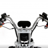 Электротрицикл IKINGI Cargo-Trike 1000W
