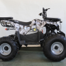 Детский электроквадроцикл GreenCamel Атакама T240 1000W R8 42Ah